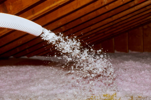 Best Local Insulation Services  in Easley, SC