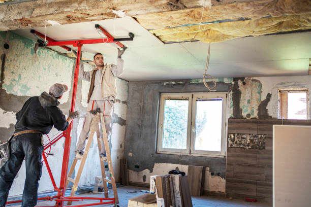 Best Insulation Removal  in Easley, SC
