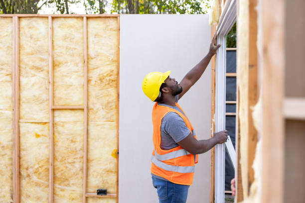 Best Insulation Repair Services  in Easley, SC