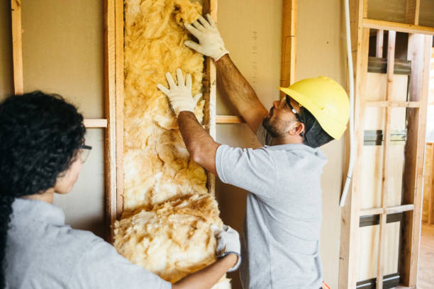 Best Insulation Inspection Services  in Easley, SC